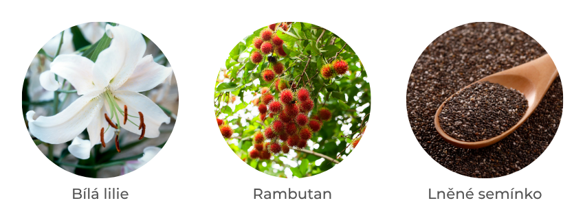 Aktivní složky: buňky bílé lilie, rambutan, kyselina hyaluronová, antioxidační komplex